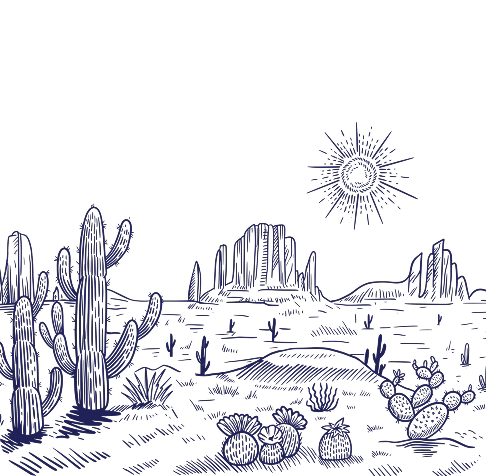 Parece un desierto
